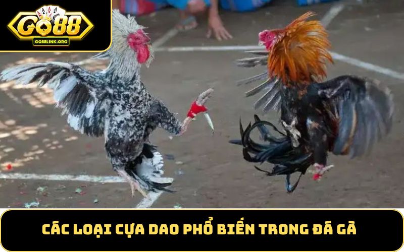 Các Loại Cựa Dao Phổ Biến Trong Đá Gà