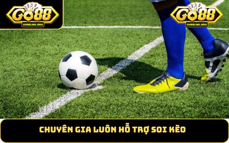 Chuyên gia luôn hỗ trợ soi kèo