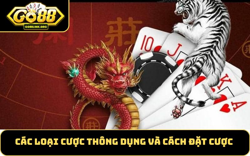 Các loại cược thông dụng và cách đặt cược